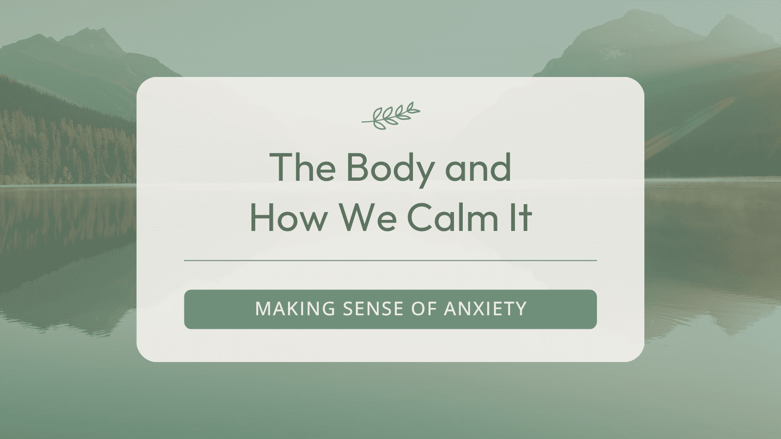 The Body and How We Calm It
