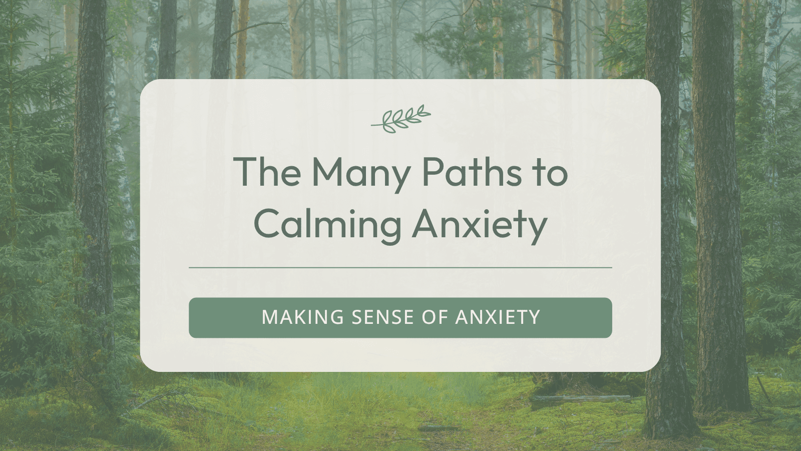 The Many Paths to Calming Anxiety